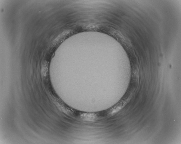 X0000085760133200704131747