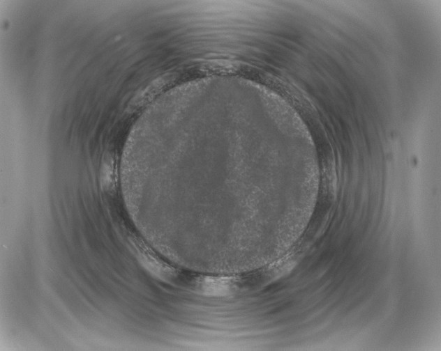 X0000085760134200704131747