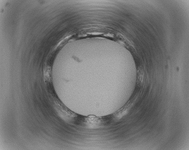 X0000085760141200704131747