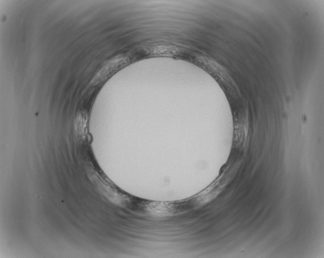 X0000085760142200704131747