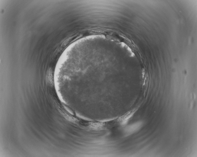 X0000085760143200704131747
