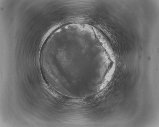 X0000085760147200704131746