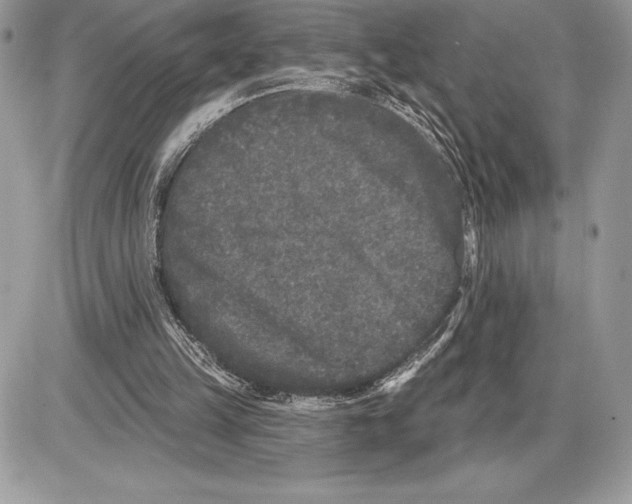 X0000085760149200704131747