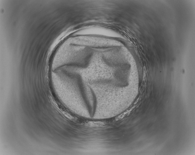 X0000085760150200704131747