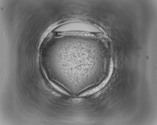 X0000085760152200704131747