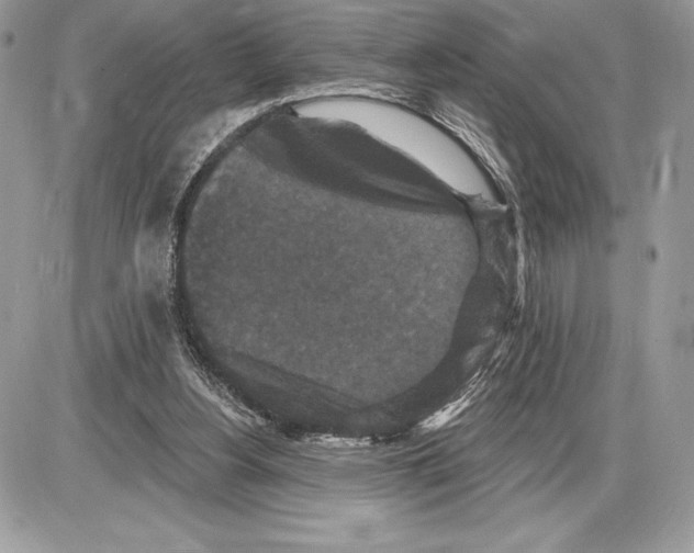 X0000085760156200704131747