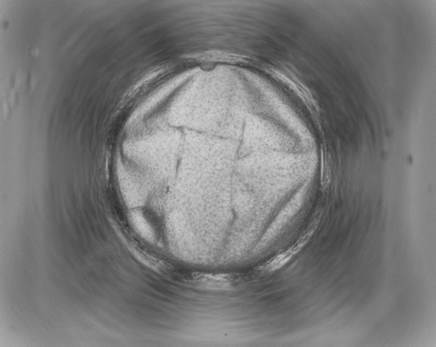 X0000085760157200704131747
