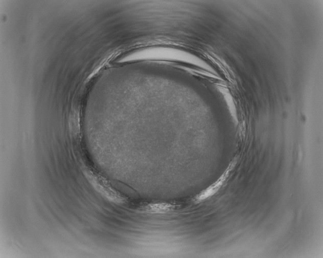 X0000085760158200704131747