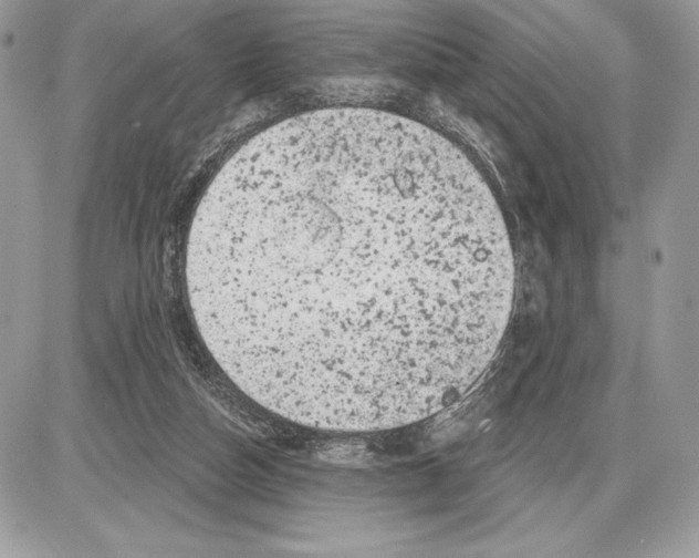 X0000085760162200704131747