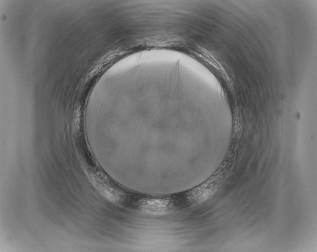 X0000085760163200704131747