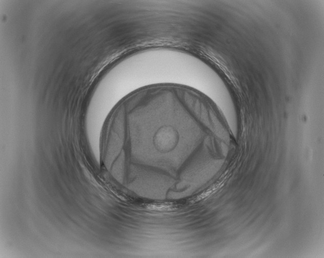X0000085760164200704131747
