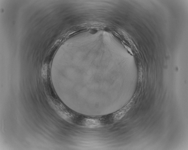 X0000085760167200704131747