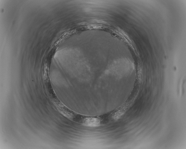 X0000085760169200704131747