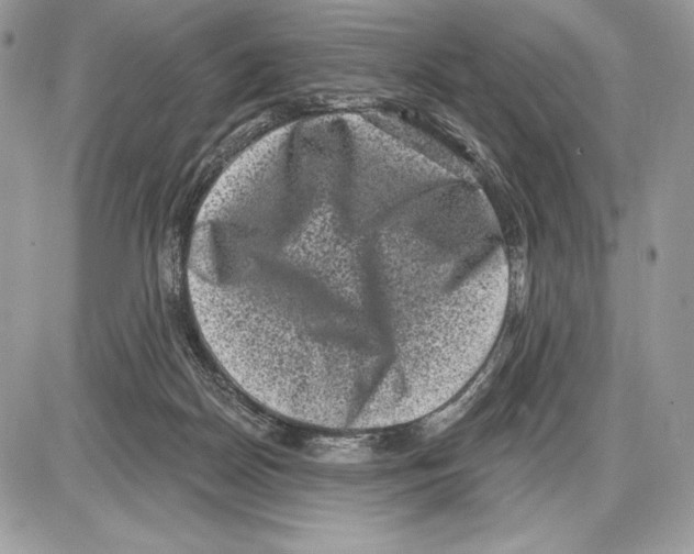 X0000085760170200704131747