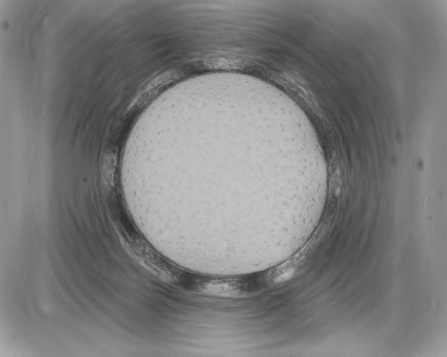 X0000085760171200704131747