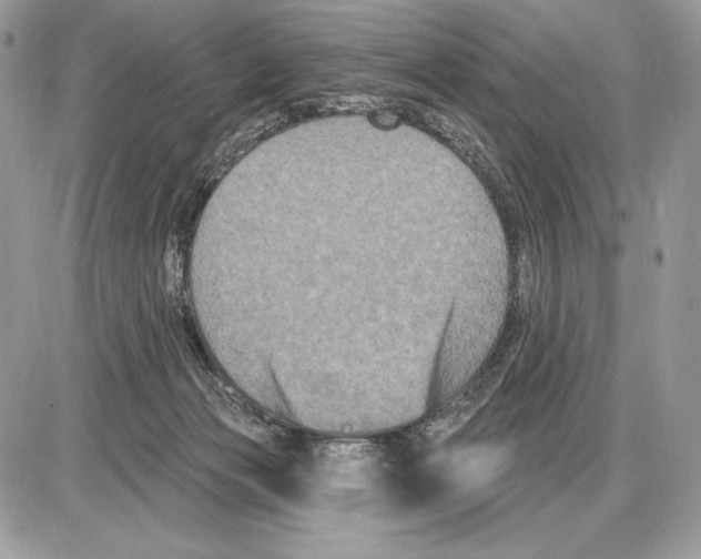 X0000085760173200704131747