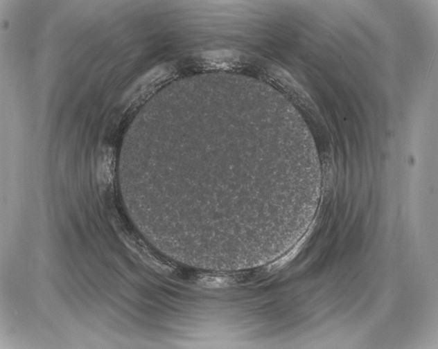 X0000085760174200704131747