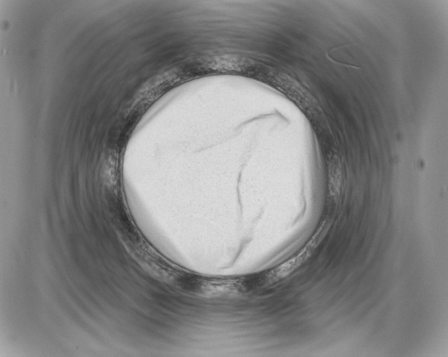 X0000085760175200704131747