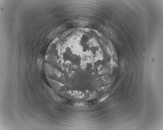 X0000085760177200704131747