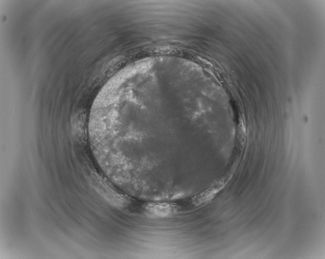 X0000085760181200704131747