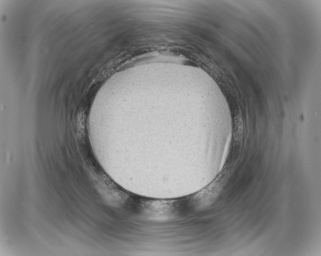 X0000085760184200704131747