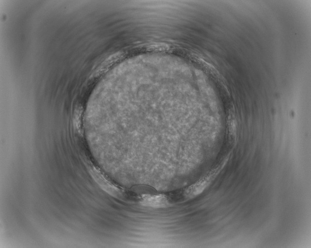 X0000085760185200704131747