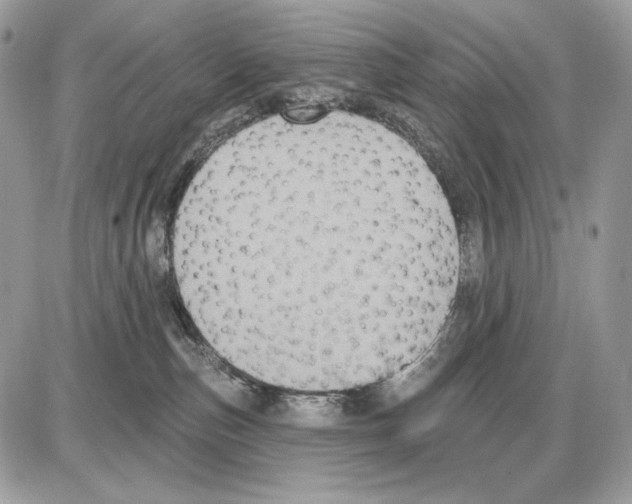 X0000085760187200704131747