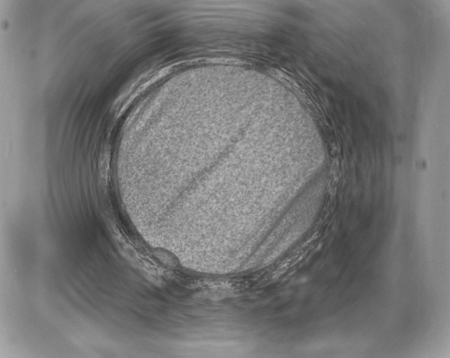 X0000085760194200704131746