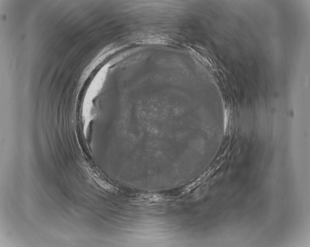 X0000085760195200704131746