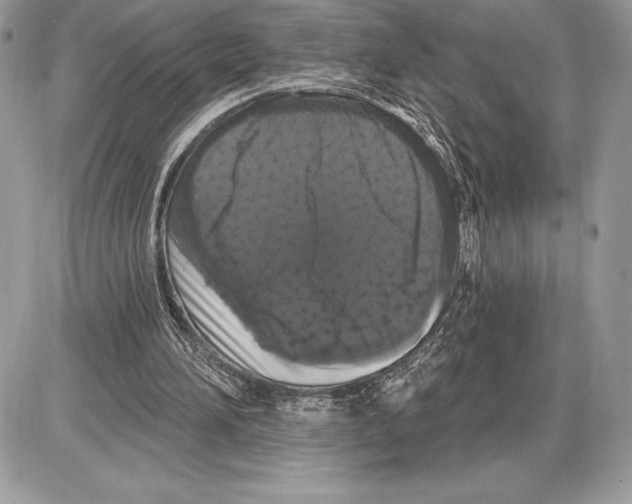 X0000085760196200704131746