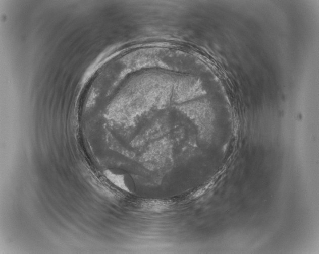 X0000085760198200704131746