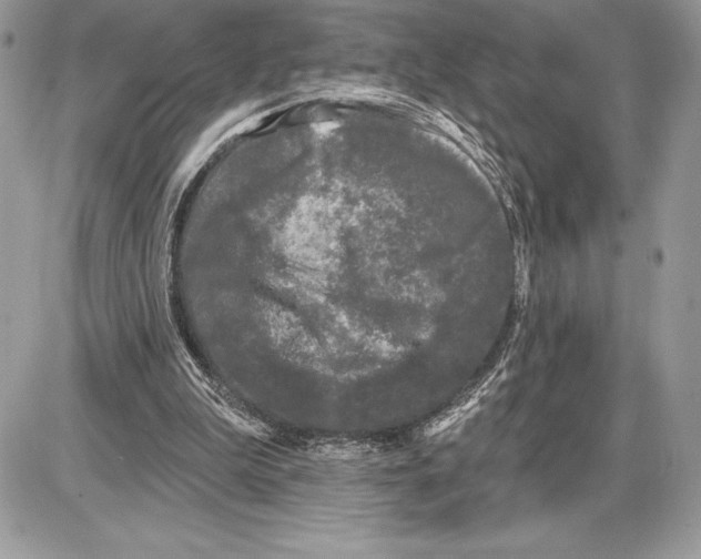 X0000085760199200704131746