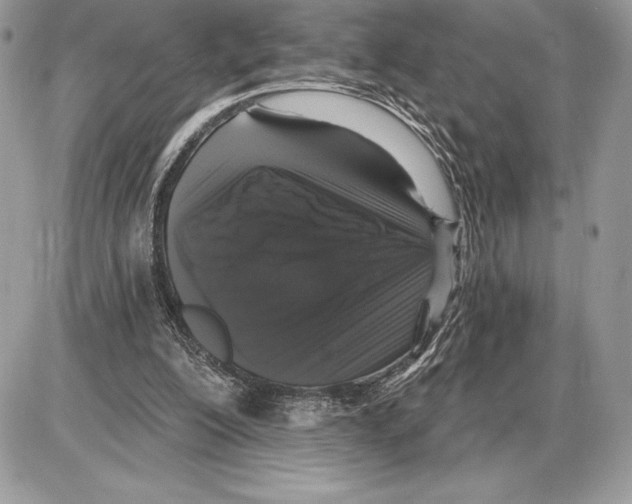 X0000085760200200704131746