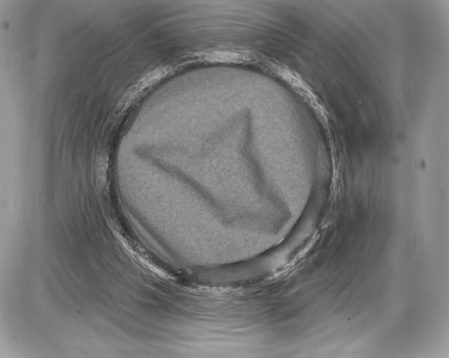 X0000085760201200704131746