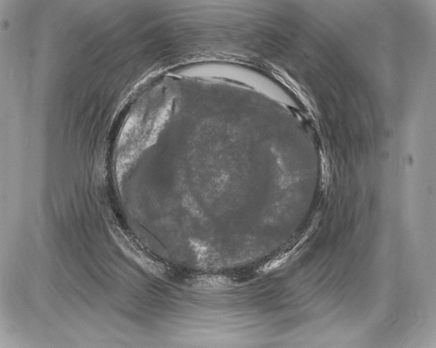 X0000085760203200704131746