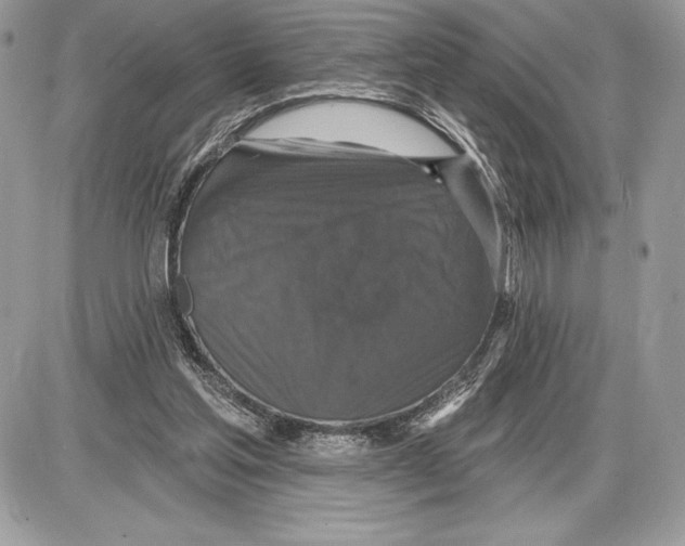 X0000085760205200704131746