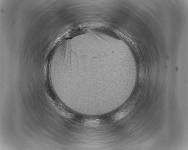 X0000085760206200704131746