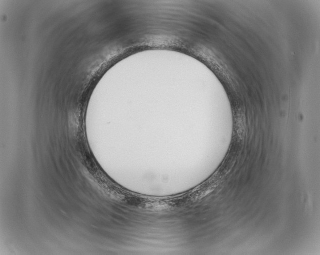 X0000085760208200704131746