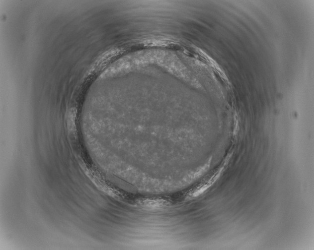 X0000085760209200704131746