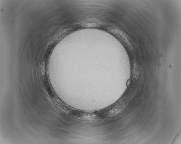 X0000085760210200704131746