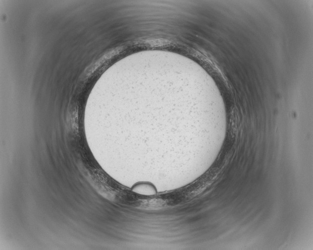 X0000085760212200704131746