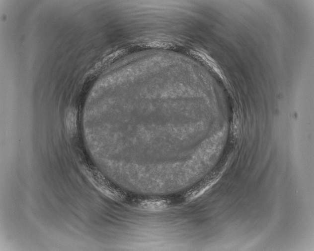 X0000085760213200704131746