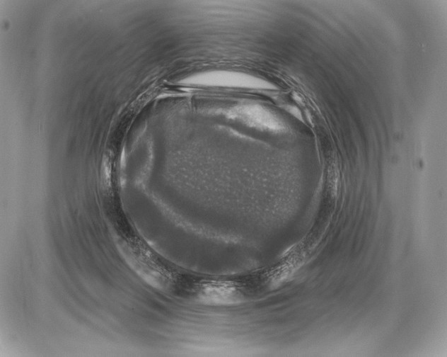 X0000085760214200704131746