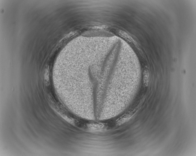 X0000085760215200704131746