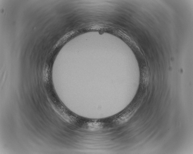 X0000085760216200704131746