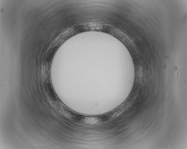 X0000085760218200704131746