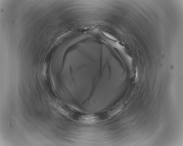 X0000085760219200704131746