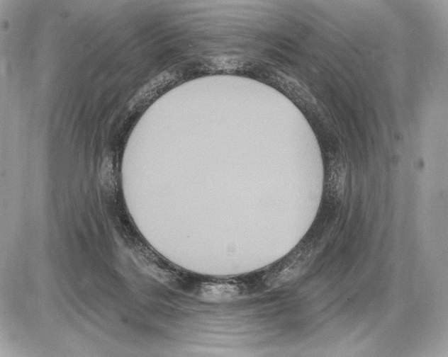 X0000085760220200704131746
