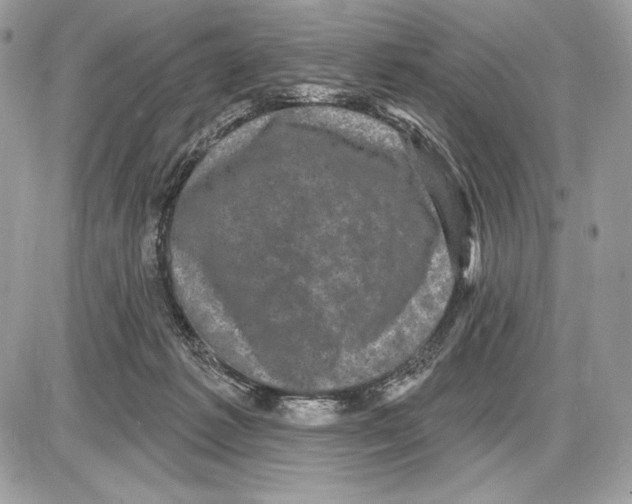 X0000085760221200704131746