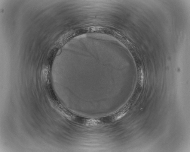 X0000085760222200704131746